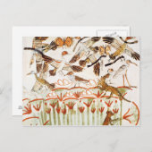 Fischerei und Fowling in den Sümpfen Postkarte (Vorne/Hinten)