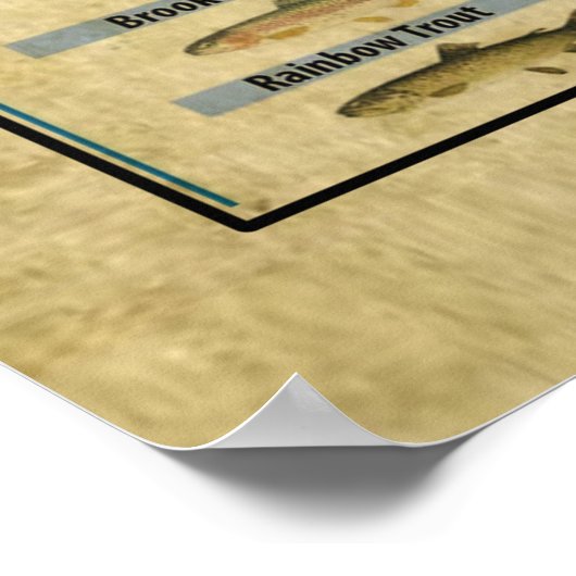 Fischereiwissen, Fischplakat, Fischgeschenke Poster (Ecke)