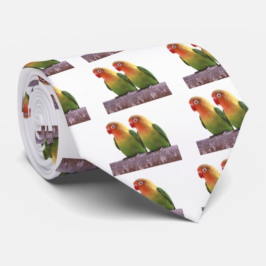 "Fischer's Lovebird"の 優 良 製 品 Krawatte (Gerollt)