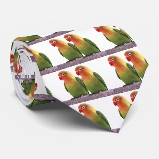 Fischer's Lovebird Krawatte (Gerollt)