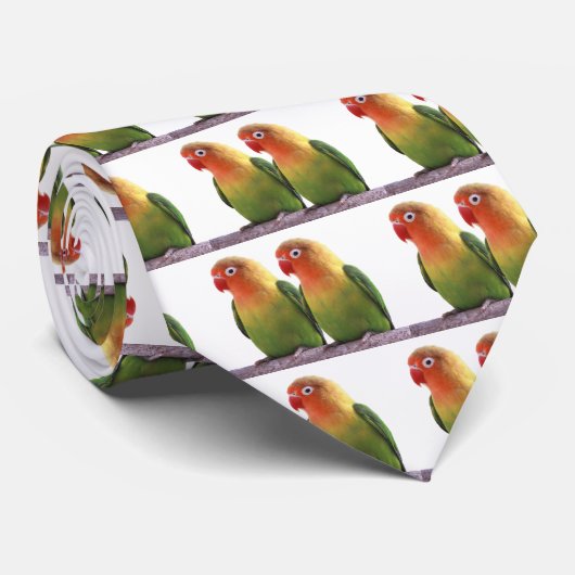 "Fischer's Lovebird" Krawatte (Gerollt)