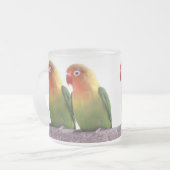 Fischer's Lovebird Mattglastasse (Vorderseite Links)