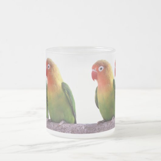 Fischer's Lovebird Mattglastasse (Mittel)