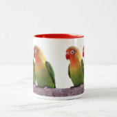 Fischer's Lovebird Zweifarbige Tasse (Mittel)