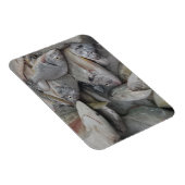 Fisches 3"x4"-Magnet Magnet (Rechte Seite)