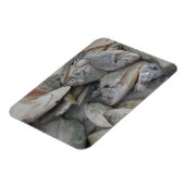 Fisches 3"x4"-Magnet Magnet (Linke Seite)