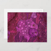 Fischfamilie, Tiere unter Wasser Postkarte (Vorne/Hinten)