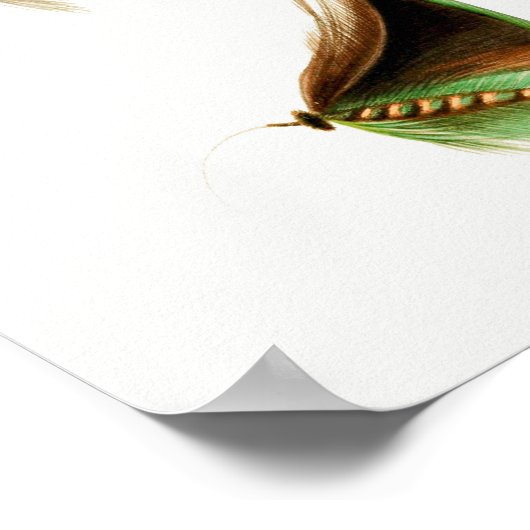 Fischfang #2 poster (Ecke)