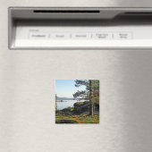 Fischfang Magnet (In Situ (Geschirrspüler))