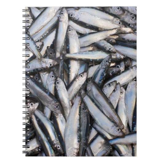 Fischfang Notizblock (Vorderseite)
