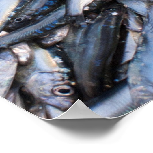 Fischfang Poster (Ecke)