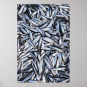 Fischfang Poster (Vorne)