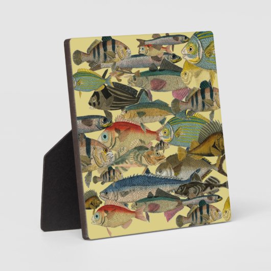 Fischfang Tiefseefischerei in exotischen tropische Fotoplatte (Vorderseite)