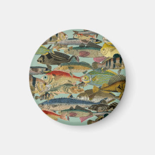 Fischfang Tiefseefischerei in exotischen tropische Magnet