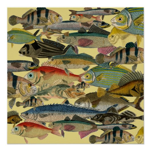 Fischfang Tiefseefischerei in exotischen tropische Poster (Vorderseite)