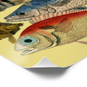 Fischfang Tiefseefischerei in exotischen tropische Poster (Ecke)