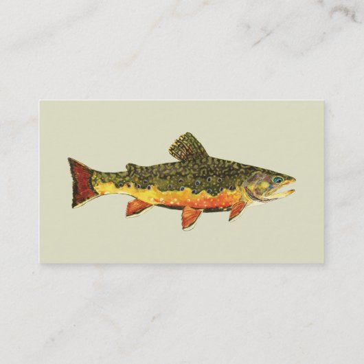 Fischfarn Visitenkarte (Rückseite)