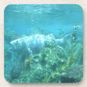Fischfisch... unter Wasser Getränkeuntersetzer