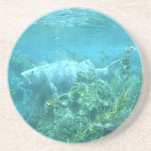 Fischfisch... unter Wasser Getränkeuntersetzer