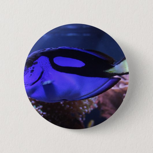 Fischfischen-Seegewohnheit personifizieren Button (Vorderseite)