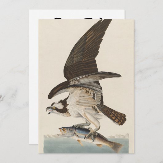 Fischhawk Osprey Natur Einladung (Vorne/Hinten)
