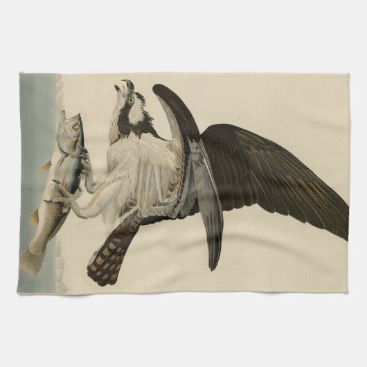 Fischhawk, Osprey, von Audubons Vögeln von Amerika Geschirrtuch (Horizontal)