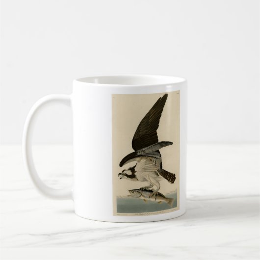 Fischhawk, Osprey, von Audubons Vögeln von Amerika Kaffeetasse (Links)
