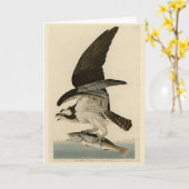 Fischhawk, Osprey, von Audubons Vögeln von Amerika Karte (Gelbe Blume)