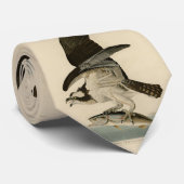 Fischhawk, Osprey, von Audubons Vögeln von Amerika Krawatte (Gerollt)