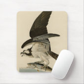 Fischhawk, Osprey, von Audubons Vögeln von Amerika Mousepad (Mit Mouse)