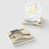 Fischhawk, Osprey, von Audubons Vögeln von Amerika Steinuntersetzer (Seitenansicht)