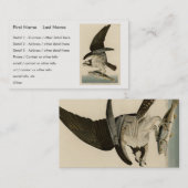 Fischhawk, Osprey, von Audubons Vögeln von Amerika Visitenkarte (Vorne/Hinten)