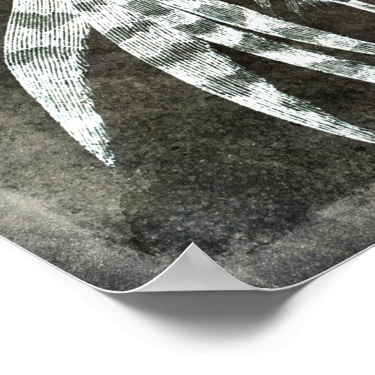 Fischhecht - Fischfang Angeln Köhler Brown Poster (Ecke)