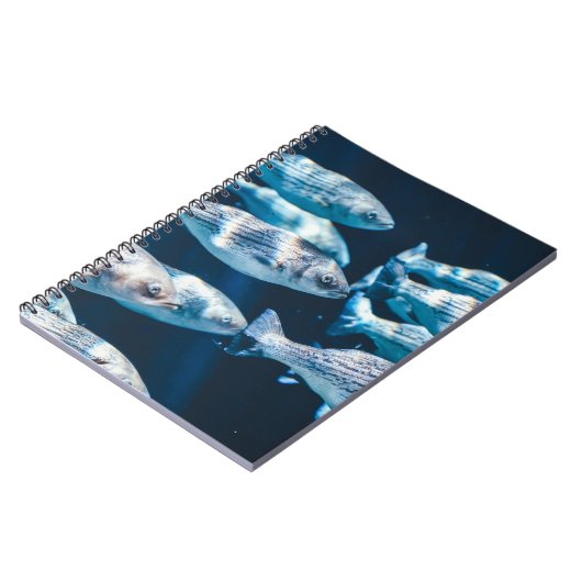 FISCHHERD NOTIZBLOCK (Linke Seite)