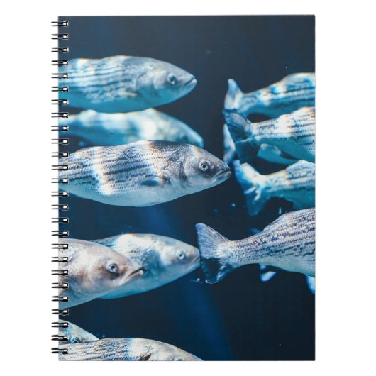 FISCHHERD NOTIZBLOCK (Vorderseite)