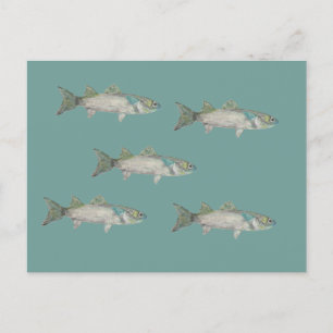 Fischige Postkarte - Schwarm von Fischen
