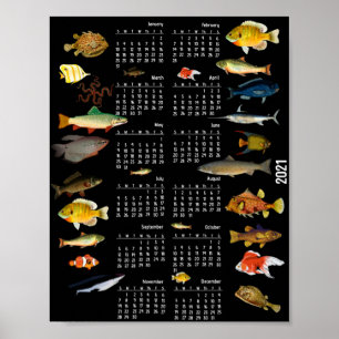 Fischkalender Poster