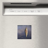 Fischkeule vor Wasser Magnet (In Situ (Geschirrspüler))