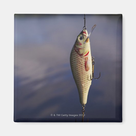 Fischkeule vor Wasser Magnet (Vorne)