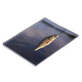 Fischkeule vor Wasser Notizblock (Linke Seite)