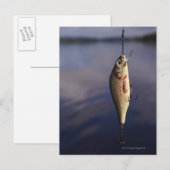 Fischkeule vor Wasser Postkarte (Vorne/Hinten)