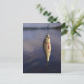 Fischkeule vor Wasser Postkarte (Stehend Vorderseite)
