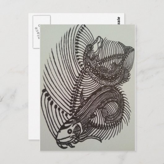Fischknochen Postkarte (Vorne/Hinten)