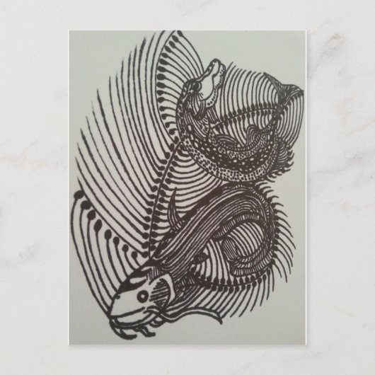 Fischknochen Postkarte (Vorderseite)