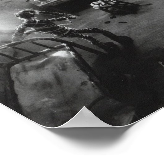 Fischkopf Poster (Ecke)