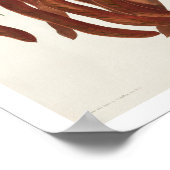 Fischkreuz von Audubon Poster (Ecke)