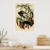 Fischkruge Poster (Küche)
