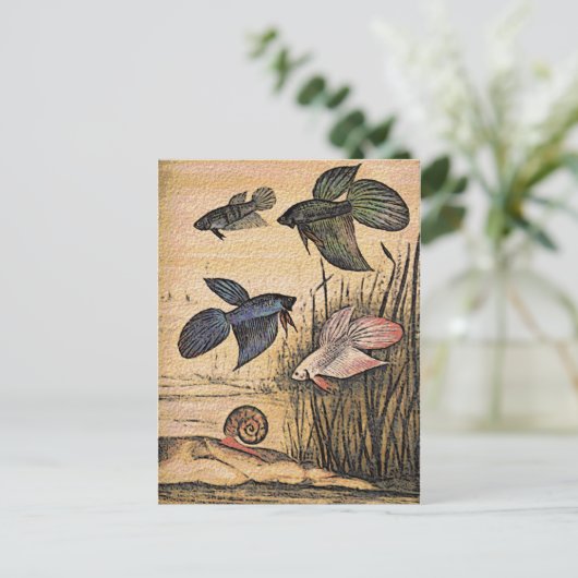 Fischkunst Postkarte (Stehend Vorderseite)