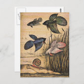 Fischkunst Postkarte (Vorne/Hinten)