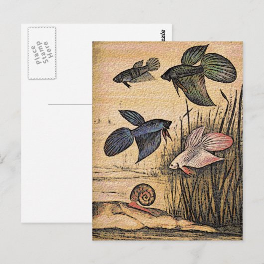 Fischkunst Postkarte (Vorne/Hinten)